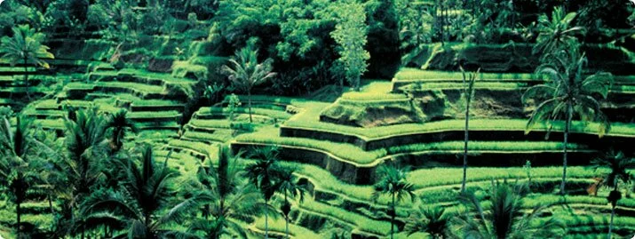 Select World Travel